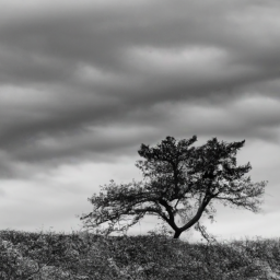 The Neuroscience Of Resilience: How Affirmations Foster Mental Toughness